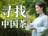 『寻找中国茶』走进茶山·寻访茶人·修炼茶心