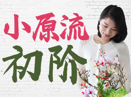 『小原流初阶』让你轻松学会插花技巧
