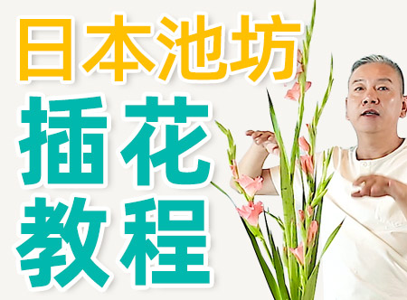 『日式·池坊花道』正一级教授，手把手教你入门池坊花道