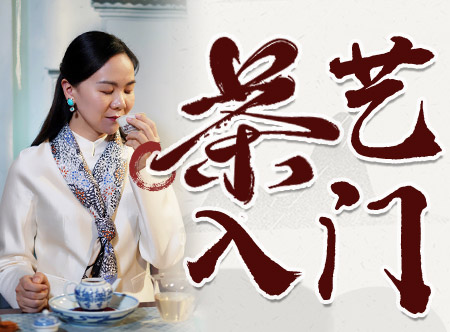 【茶艺入门指导】120分钟为你解锁，学好茶艺的“玄机”