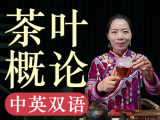 『茶学硕士的中英双语微课·茶叶概论』每天5分钟，让世界听懂中国茶!