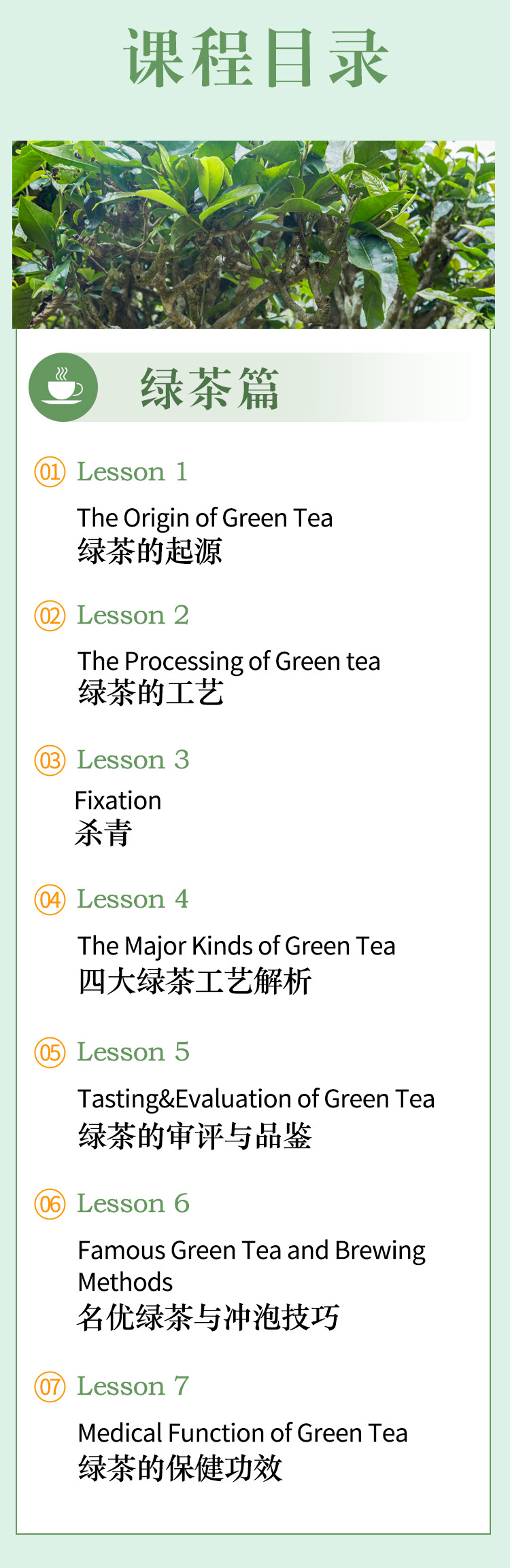 绿茶_05