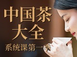 静雅之行《中国茶大全》系统课第一季，茶仙子带你布具、识茶、行茶、悟茶