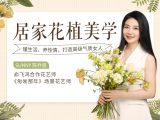 居家花植美学:懂生活，养性情，打造高级气质女人